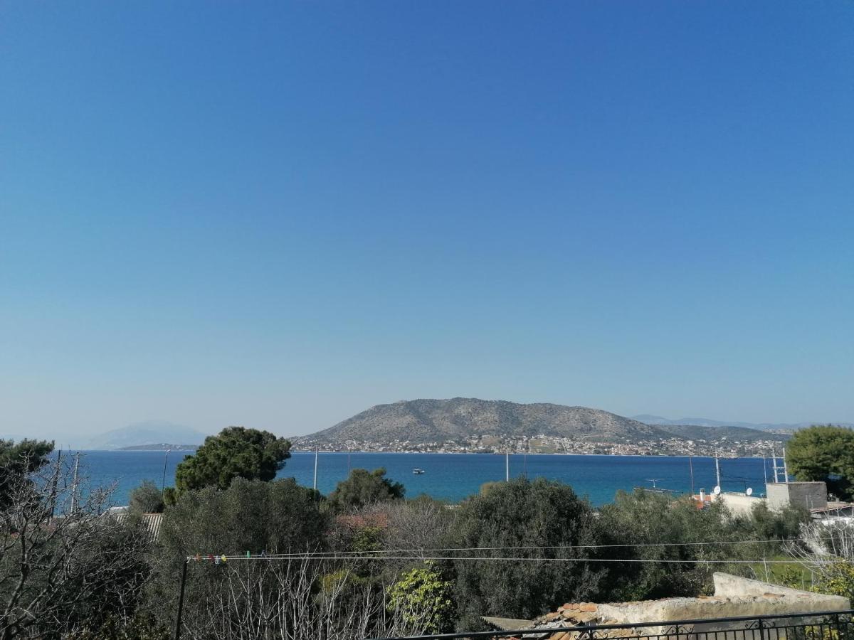 Welcome In Salamina Villa Екстериор снимка
